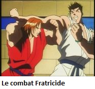 photo d'illustration pour l'article goodie:Street Fighter 2V